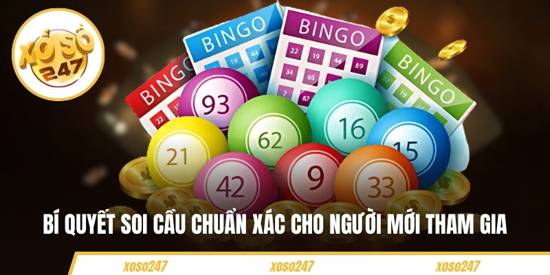 Hướng Dẫn Đánh Đề Trên Xoso247 Cho Người Mới Bắt Đầu 3 Bí quyết soi cầu chuẩn xác cho người mới tham gia