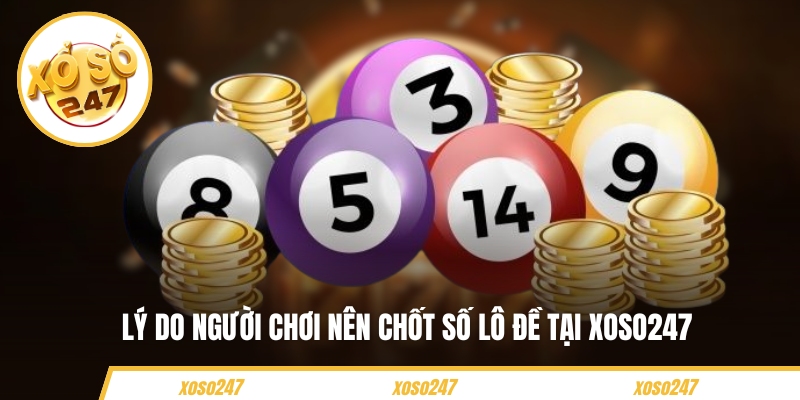 Lý do người chơi nên chốt số lô đề tại Xoso247
