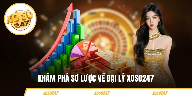 Khám phá sơ lược về đại lý Xoso247