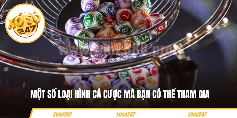 Một số loại hình cá cược mà bạn có thể tham gia 