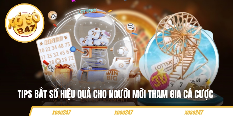 Tips bắt số hiệu quả cho người mới tham gia cá cược 