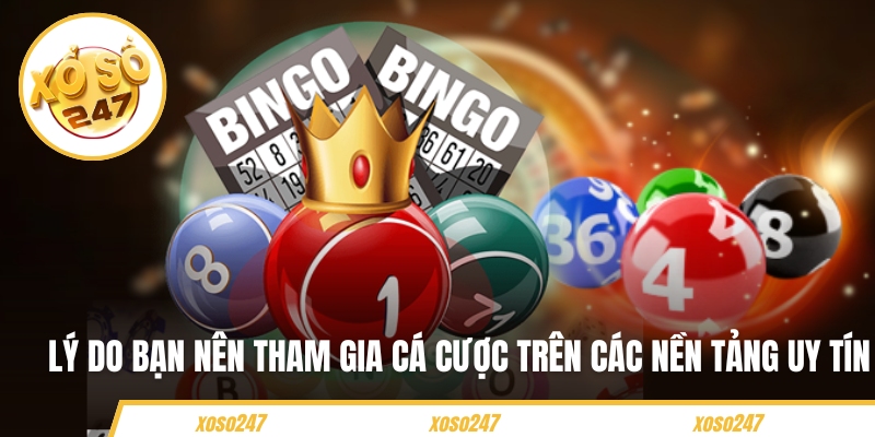 Lý do bạn nên tham gia cá cược trên các nền tảng uy tín