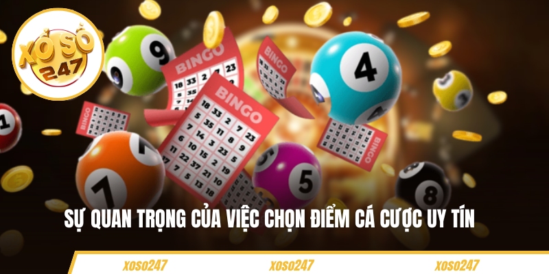 Sự quan trọng của việc chọn điểm cá cược uy tín 