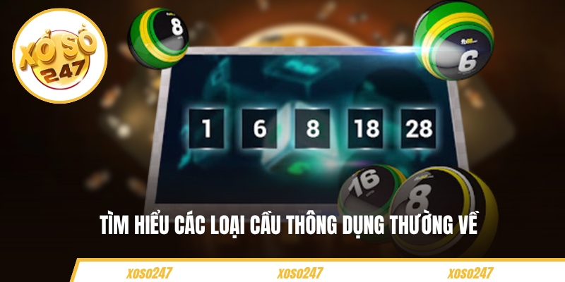 Tìm hiểu các loại cầu thông dụng thường về