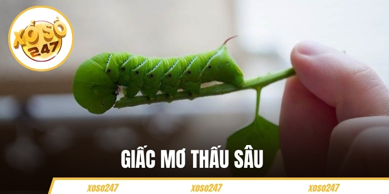 Giấc Mơ Thấy Sâu Có Điềm Báo Gì? Nên Đánh Con Số Nào 1 Giấc Mơ Thấy Sâu Có Điềm Báo Gì? Nên Đánh Con Số Nào