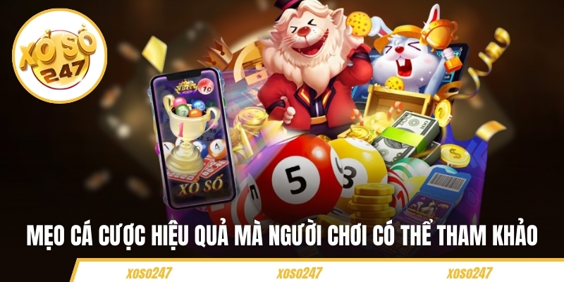 Mẹo cá cược hiệu quả mà hội viên có thể tham khảo