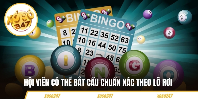 Hội viên có thể bắt cầu chuẩn xác theo lô rơi 