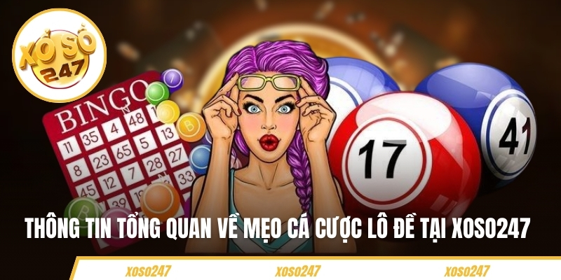 Thông tin tổng quan về mẹo cá cược lô đề tại Xoso247 