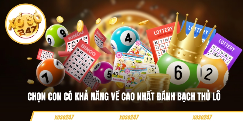 Mẹo Nhận Biết Cầu Lô Đề Trực Tuyến Hay Nhất Thắng Lớn 5 Chọn con có khả năng về cao nhất đánh bạch thủ lô