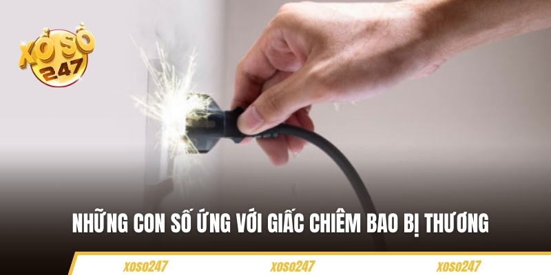 Những con số may mắn ứng với giấc chiêm bao này