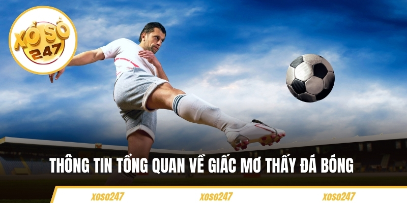 Thông tin tổng quan về giấc mơ thấy đá bóng 