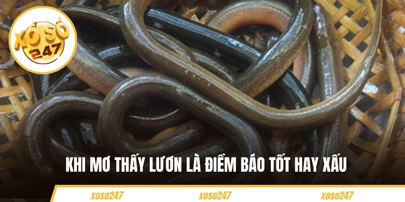 Khi mơ thấy lươn là điềm báo tốt hay xấu