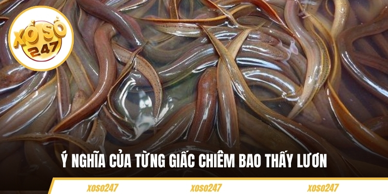 Ý nghĩa khi bạn mơ thấy lươn