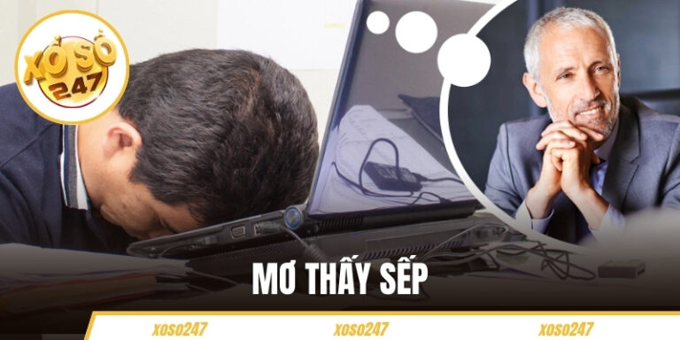 Mơ Thấy Sếp - Giải Mã Giấc Mộng Và Con Số May Mắn Đi Kèm