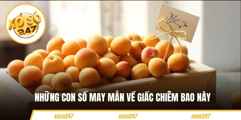 Mơ Thấy Trái Cây Báo Hiệu Điều Gì? Nên Đánh Con Số Nào 6 Những con số may mắn về giấc chiêm bao này