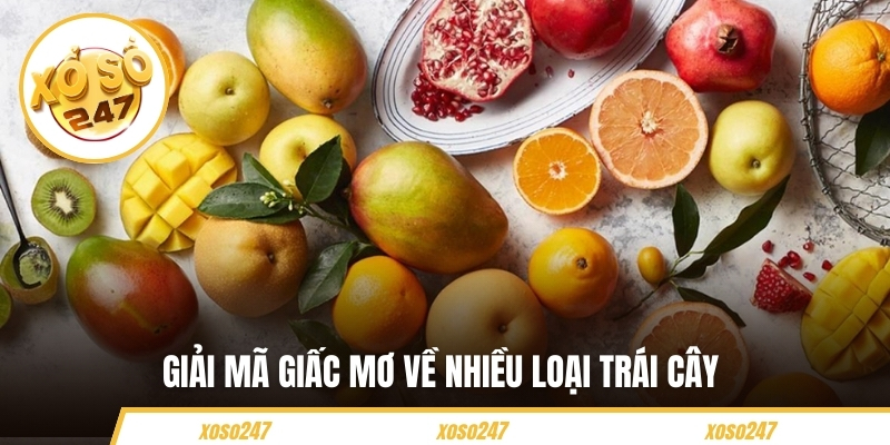 Mơ Thấy Trái Cây Báo Hiệu Điều Gì? Nên Đánh Con Số Nào 5 Giải mã giấc mơ về nhiều loại trái cây