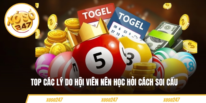 Soi Cầu Lô Đề Online Chuẩn Xác - Cách Chốt Số An Toàn 3 Top các lý do hội viên nên học hỏi cách soi cầu