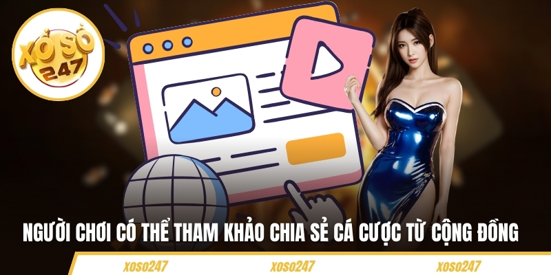Người chơi có thể tham khảo chia sẻ cá cược từ cộng đồng 